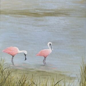 Spoonbills 12×16